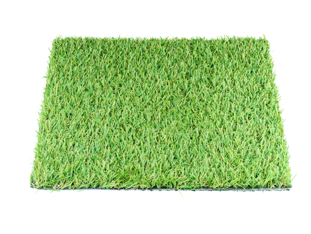 green grass isolated on white backgroundの写真素材