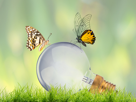 high power edison light bulb on green nature with butterfly , go green conceptの写真素材