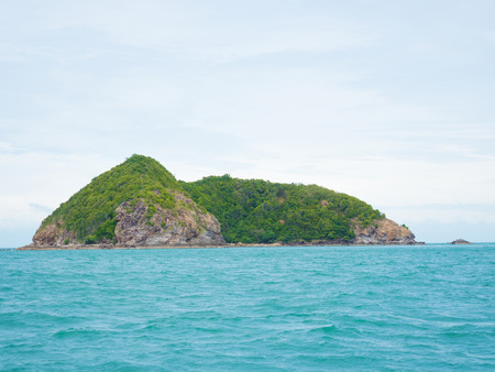 green island on rock over sea surface