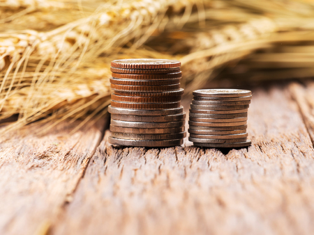 coins on ripe wheat and straw detail on blur background, vegetable for diet to make money  concept.の写真素材