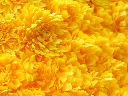 beautiful artificial flowers, decorative hand craft  on artistic backgroundの写真素材