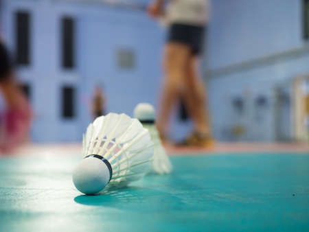 the badminton sport and shuttlecock placed on floor in the game of indoor sport for recreationの写真素材