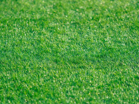 beautiful artificial flowers, decorative hand craft  on artistic backgroundの写真素材