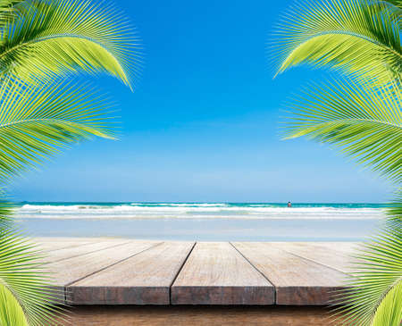 wooden walk-way leading to the tropical sea shore, the rich of ecosystem forms on this type of shoreの写真素材