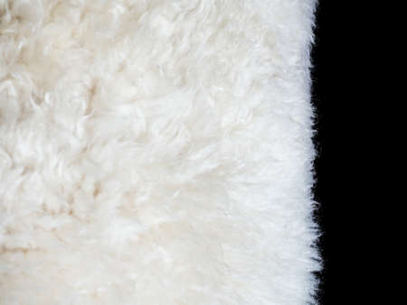 close up shot of sheep fur skin, texture background