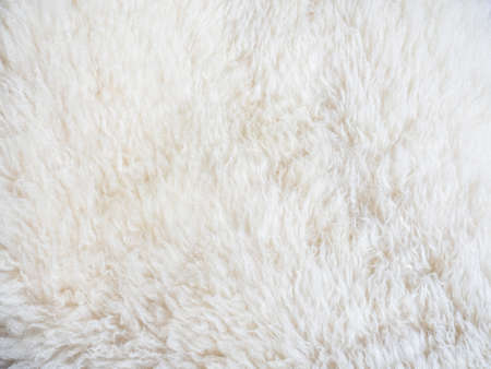 close up shot of sheep fur skin, texture backgroundの写真素材