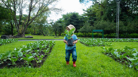 asian kid in a farmer dress growing some green sprout plants in the outdoor farm, a kid activity to learn the source of food.の写真素材