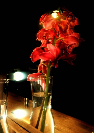 Red lily flower reflecting in mirrorの写真素材