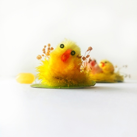 easter decorationの写真素材