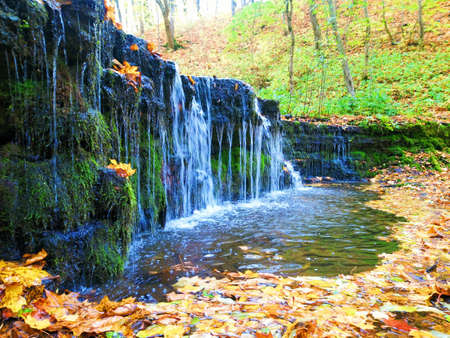 A small waterfall in the middle of a forestの写真素材