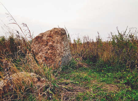 A Boulder in a Fieldの写真素材