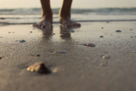 Closeup shell and sand and human legs on the background.の写真素材