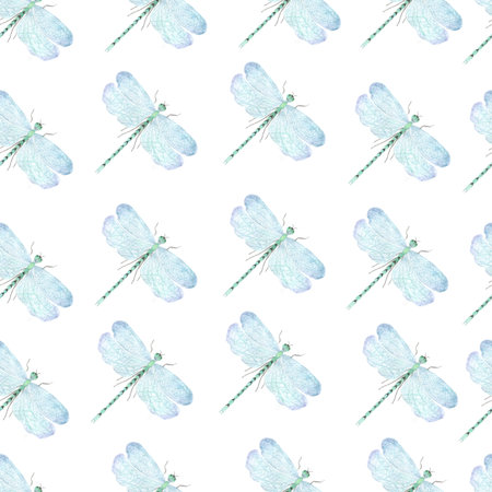 Watercolor dragonfly illustration. Dragonfly isolated on white background.の写真素材