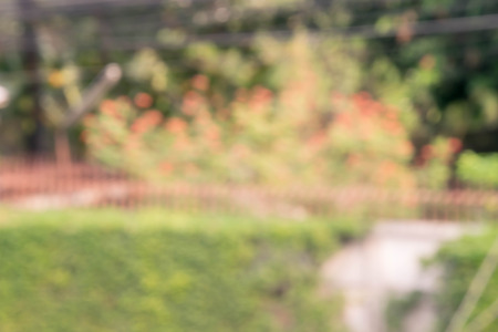 natural blur backgroundの写真素材