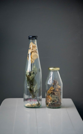 dead rose flower in bottlesの写真素材