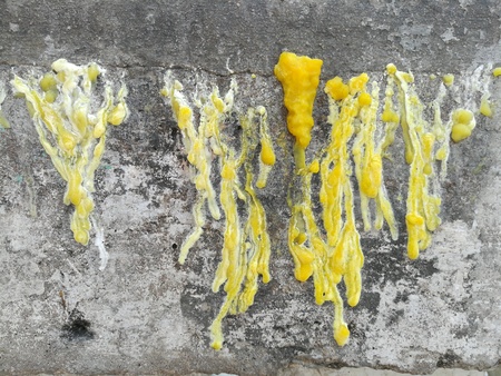 drops of melting wax on dirty concrete wall.の写真素材
