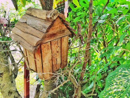 Wooden Bird house in the little treeの写真素材
