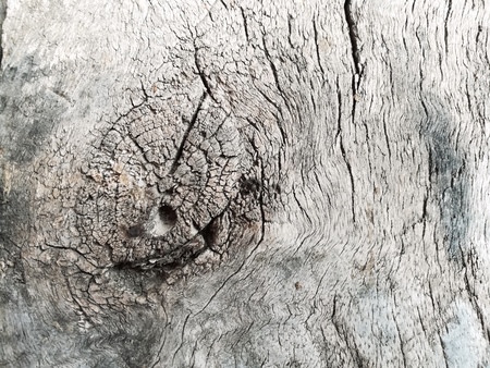 Old Wooden background texture. Wooden background texture. Wooden vintage background which can be used for montage or display products.の写真素材