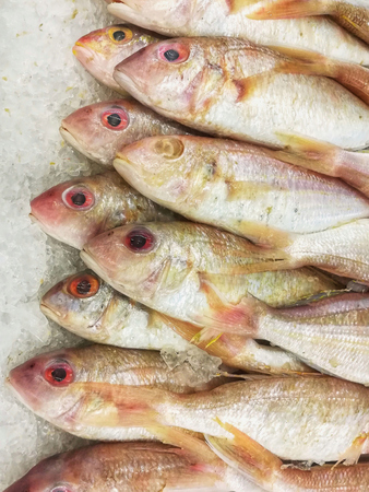 Frozen fish, five lined threadfin bream , on the ice at fish market/ supermarket.の写真素材