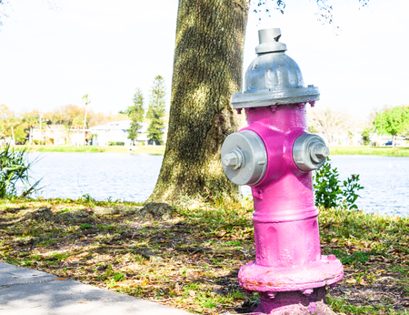 Pink Fire Hydrant on the ground in the park in Floridaのeditorial素材