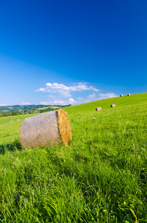Hay rolls on a green mountain meadow with wonderful blue sky and white clouds の写真素材