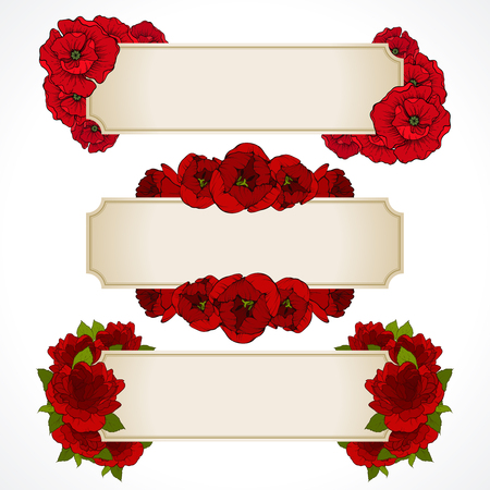 Vector set of banners with red flowers. Greeting card, Valentines day, wedding invitation design Valentine anniversary Floral love backgroundのイラスト素材