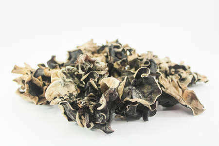 Ear Mushroom with white backgroundの写真素材