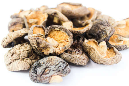 Close up Shitake Mushroomの写真素材