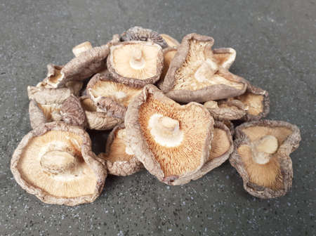 Close up Shitake Mushroomの写真素材