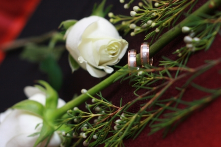 Rings and Rosesの写真素材