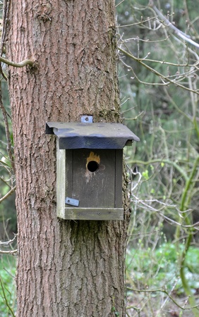 A wooden bird house on a tree
