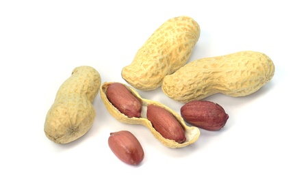 close up of peanuts on a white background