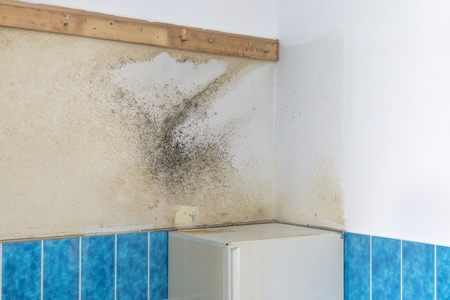 A bathroom wall covered with rising damp and moldy mildewの写真素材