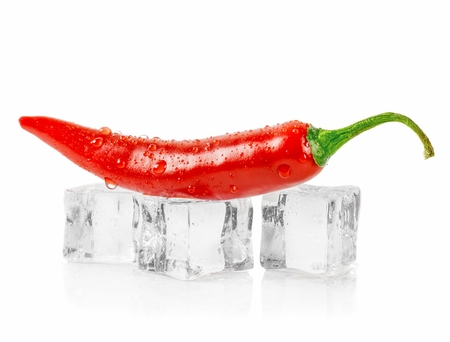 A red chili pepper lying on ice cubes against a white background with copy space for your textの写真素材