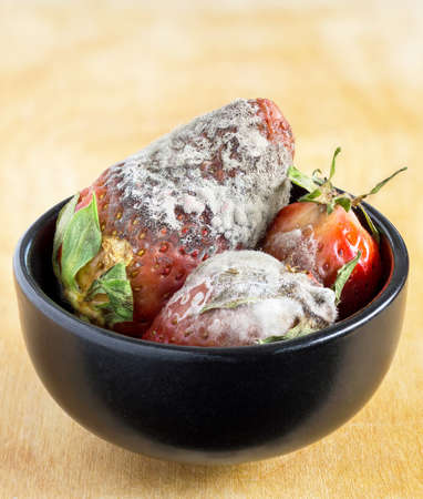A bowl of rotten strawberries covered in fluffy mold on a wooden backgroundの写真素材