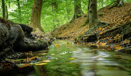 A low angle motion blur image of a small stream running through forest woodland in autumnの写真素材
