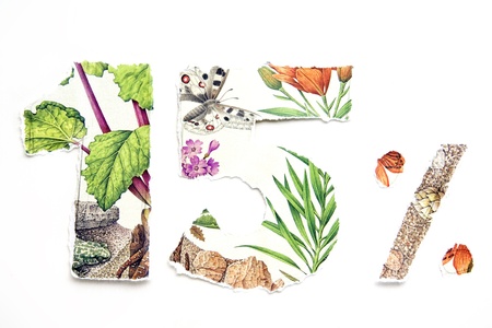 fifteen per cent bannerの写真素材