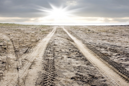 tire tracks on the beachの写真素材