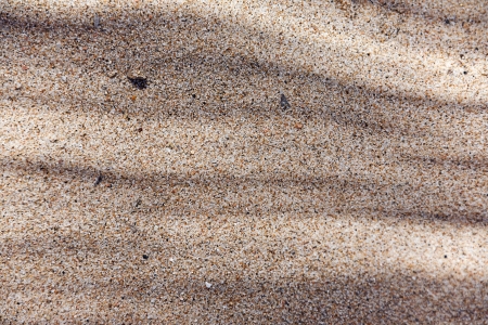 sand backgroundの写真素材