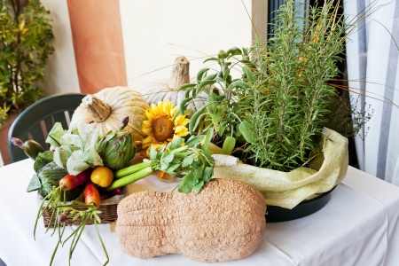 seasonal winter vegetablesの写真素材