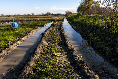 flooded country roadの写真素材