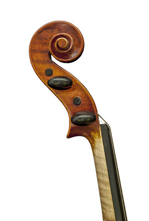 neck of the violinの写真素材