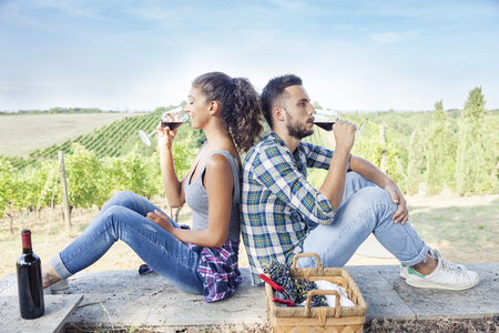 young couple toasting in a vineyardの写真素材