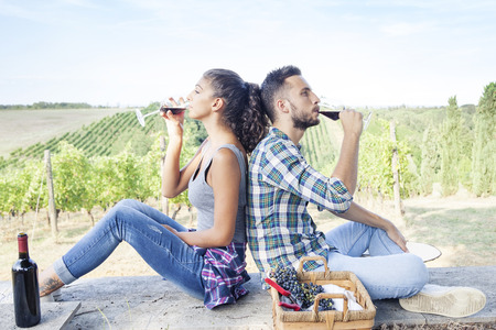 young couple toasting in a vineyardの写真素材
