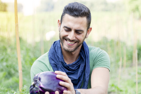 young farmer looks at a purple eggplant in his gardenの写真素材