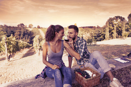 young couple toasting in a vineyardの写真素材