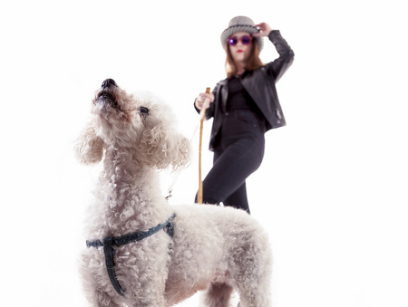 portrait of little dog with her young mistressの写真素材