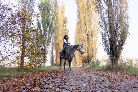 horsewoman rides his horse to the country roads in autumnの写真素材