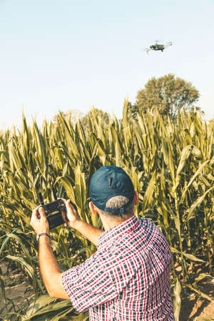 modern technological farmer analyzing the growth of corn by flying a drone over his cultivated...