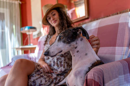 portrait of young woman with straw hat sitting on sofa together with her hunting dogの写真素材